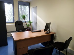 Location bureau centre affaires Lyon Villeurbanne